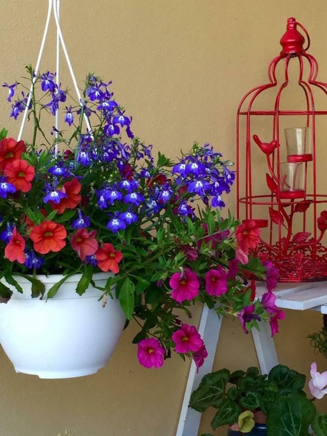Casa De Ferias Josefa D'Obidos 빌라 외부 사진